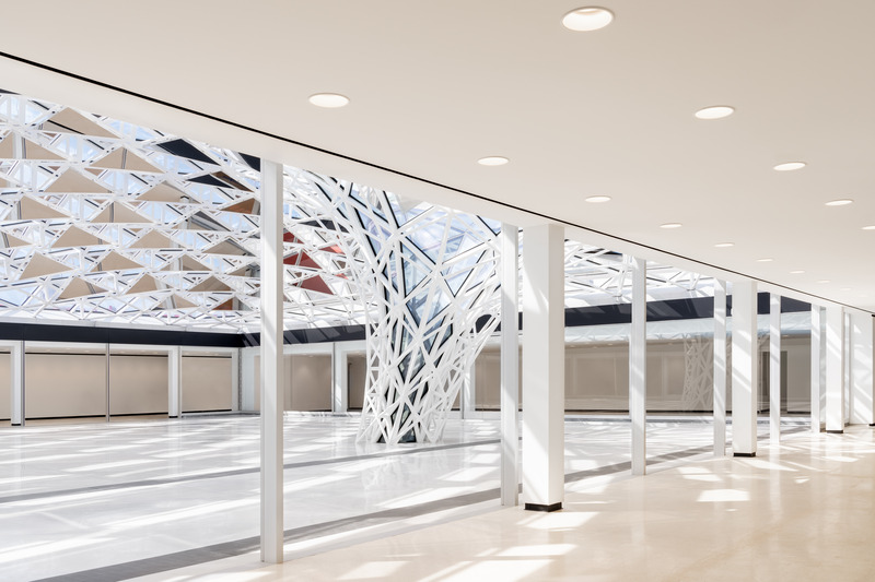 Press kit | 6972-01 - Press release | ‘Common Sky’ by Studio Other Spaces Opens at the Buffalo AKG Art Museum - Studio Other Spaces - Art - 'Common Sky', 2019-2023. Courtesy of the Buffalo AKG Art Museum, OMA, Cooper Robertson, and Studio Other Spaces. - Photo credit: Marco Cappelletti<span></span>