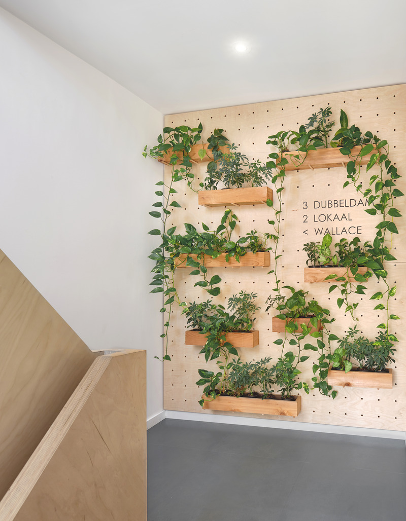 Dossier de presse | 1513-19 - Communiqué de presse | Dubbeldam Office - Dubbeldam Architecture + Design - Architecture commerciale - A custom Baltic birch pegboard panel on the<br>first floor landing not only provides a director for the businesses in the building, but double as a thriving green wall populated wit lush plants in fragrant cedar boxes - welcome therapy, especially during the cold winter months.  <br> - Crédit photo : Scott Norsworthy