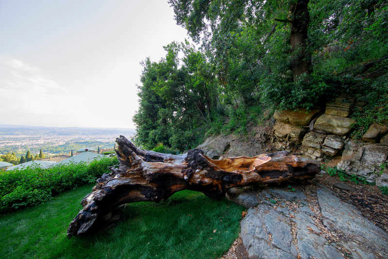 Press kit | 6953-01 - Press release | Forsoultree, Artwork by Luca Gnizio - Luca Gnizio - Art - View of the trunk towards Florence - Photo credit: Alessio Guarino