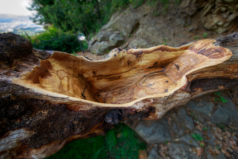 Press kit | 6953-01 - Press release | Forsoultree, Artwork by Luca Gnizio - Luca Gnizio - Art - The seating in the middle presents itself as a wooden cradle where to relax - Photo credit: Alessio Guarino