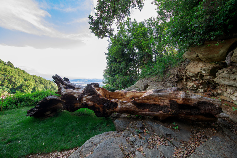 Press kit | 6953-01 - Press release | Forsoultree, Artwork by Luca Gnizio - Luca Gnizio - Art - Evening atmosphere in the park - Photo credit: Alessio Guarino