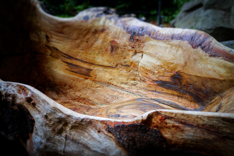 Press kit | 6953-01 - Press release | Forsoultree, Artwork by Luca Gnizio - Luca Gnizio - Art - Central seating of Forsoultree - Photo credit: Alessio Guarino