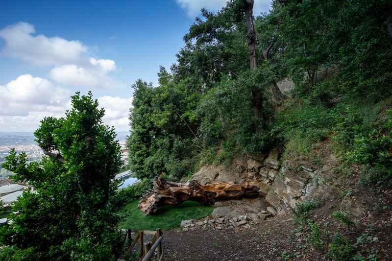 Press kit | 6953-01 - Press release | Forsoultree, Artwork by Luca Gnizio - Luca Gnizio - Art - The setting of 7 metres long artwork Forsoultree in Villa San Michele - Photo credit: Alessio Guarino