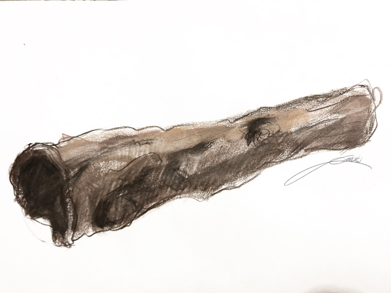 Press kit | 6953-01 - Press release | Forsoultree, Artwork by Luca Gnizio - Luca Gnizio - Art - Forsoultree, sketch - Photo credit: Luca Gnizio