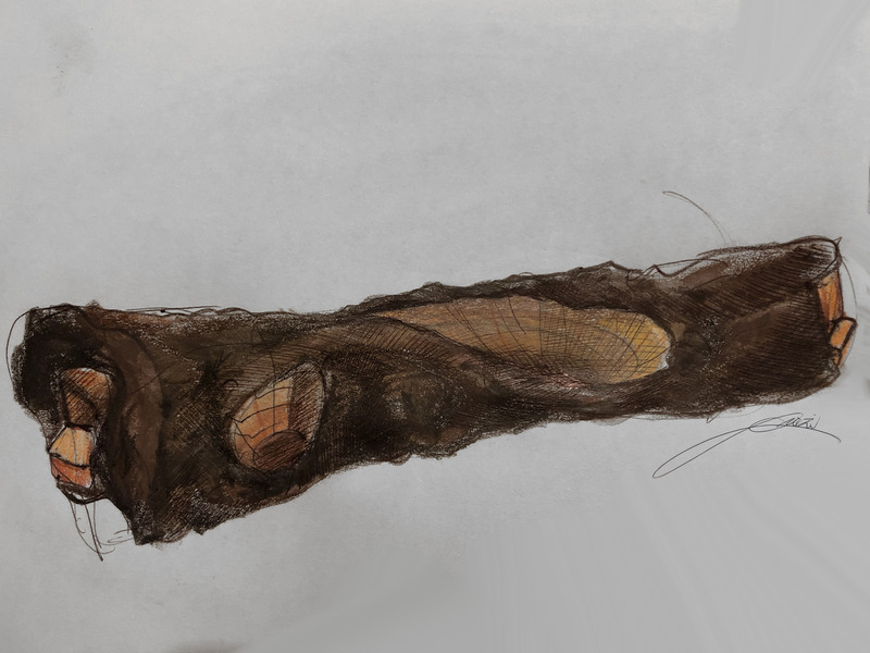 Press kit | 6953-01 - Press release | Forsoultree, Artwork by Luca Gnizio - Luca Gnizio - Art - The design of Forsoultree - Photo credit: Luca Gnizio