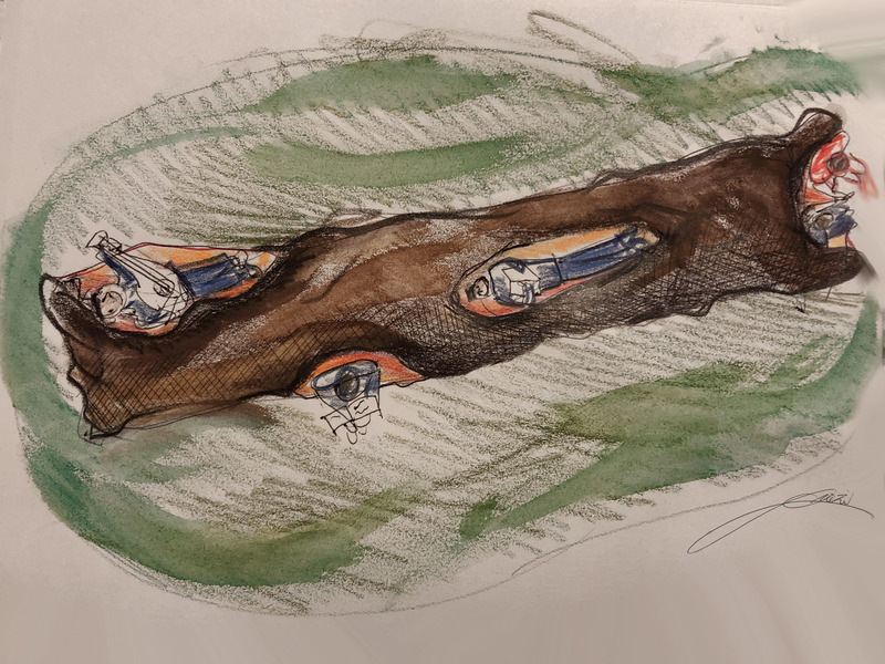Press kit | 6953-01 - Press release | Forsoultree, Artwork by Luca Gnizio - Luca Gnizio - Art - The uses of Forsoultree - Photo credit: Luca Gnizio