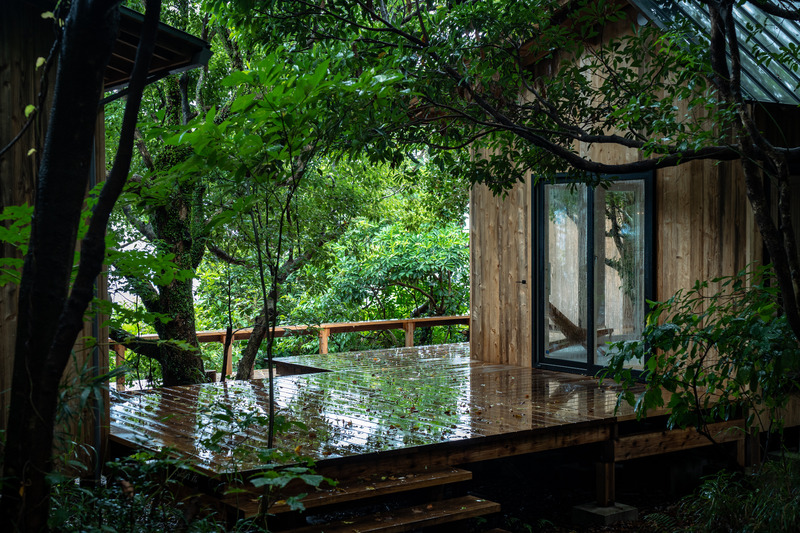 Dossier de presse | 7029-01 - Communiqué de presse | Sumu, Regenerative Life Studio, Receives International Recognition - tono Inc. - Architecture résidentielle - Terrasse vivante - Crédit photo : Wataru Aoyama