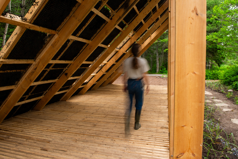 Press kit | 837-44 - Press release | Inauguration of the 24th Edition of the International Garden Festival - International Garden Festival | Reford Gardens - Landscape Architecture - Racines de mer - Photo credit: Martin Bond