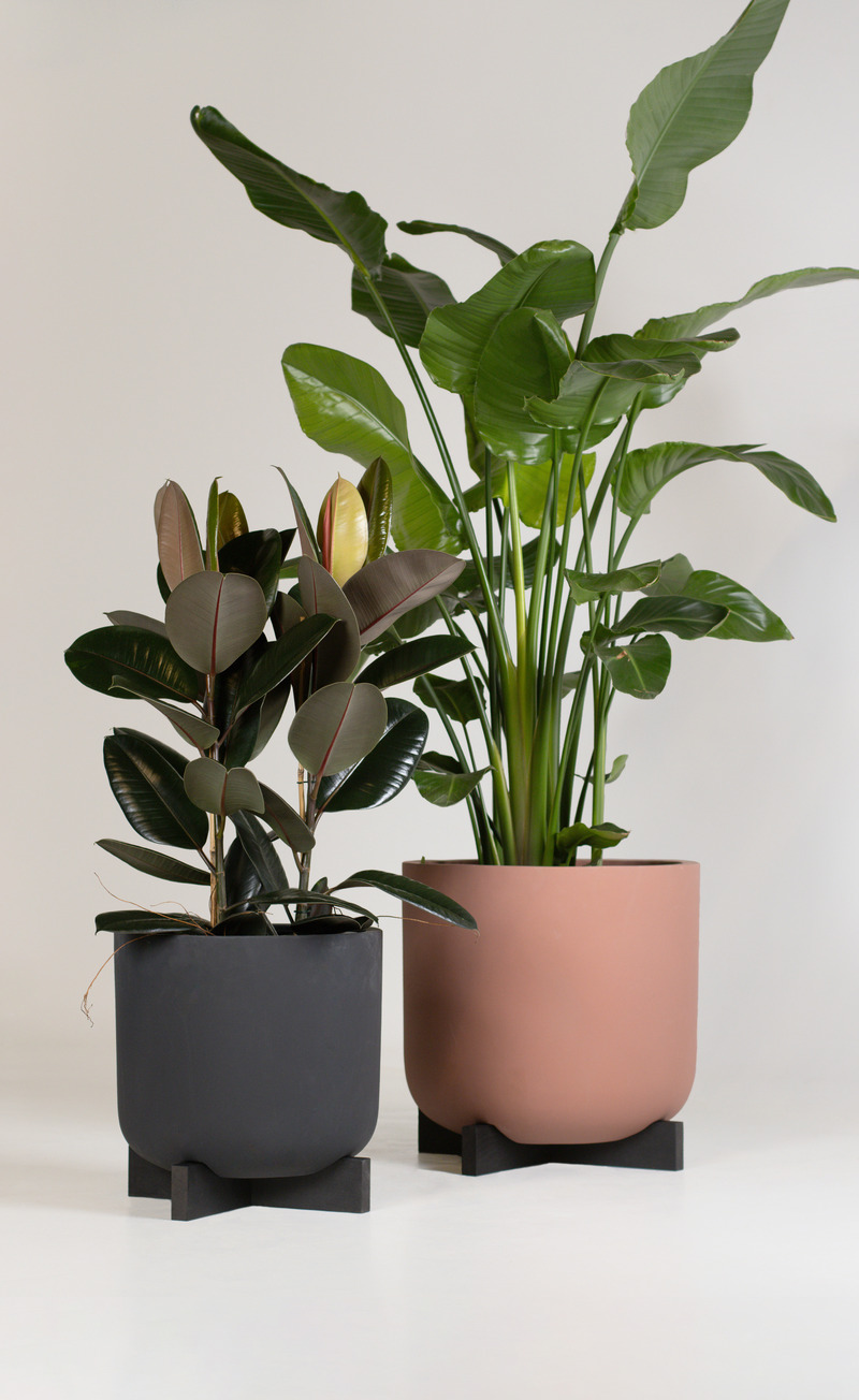 Dossier de presse | 7094-01 - Communiqué de presse | Introduction de la Cruz Planter de Greenmood - Greenmood - Produit - Crédit photo : Anna Nina Gacka