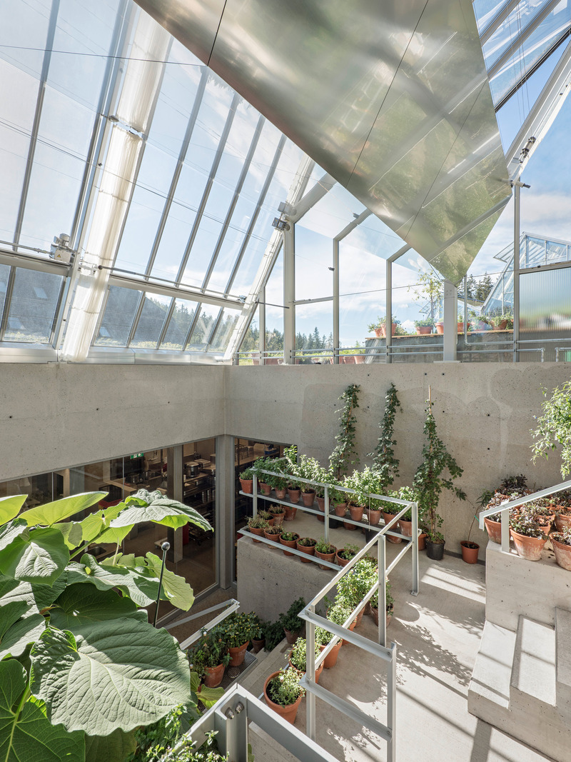 Press kit | 6636-01 - Press release | Steirereck am Pogusch - PPAG architects - Commercial Architecture - The Small Greenhouse supplies the kitchen with  fresh herbs and spices and offers an intimate backstage area where new  ideas can be cooked up.<br style=""> - Photo credit: Hertha Hurnaus