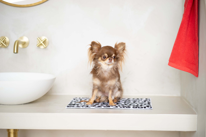 Press kit | 3904-03 - Press release | Doggy Bathroom Introduces Keith Haring Collection - Doggy Bathroom - Product - Doggy Bathroom x Keith Haring Bath Set - Photo credit: Momo Yang