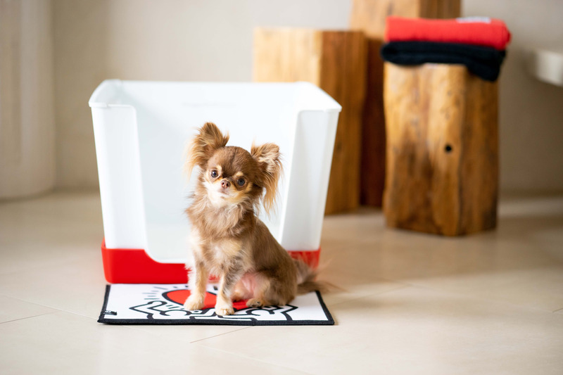 Press kit | 3904-03 - Press release | Doggy Bathroom Introduces Keith Haring Collection - Doggy Bathroom - Product - Doggy Bathroom Mini x Keith Haring Red - Photo credit: Momo Yang