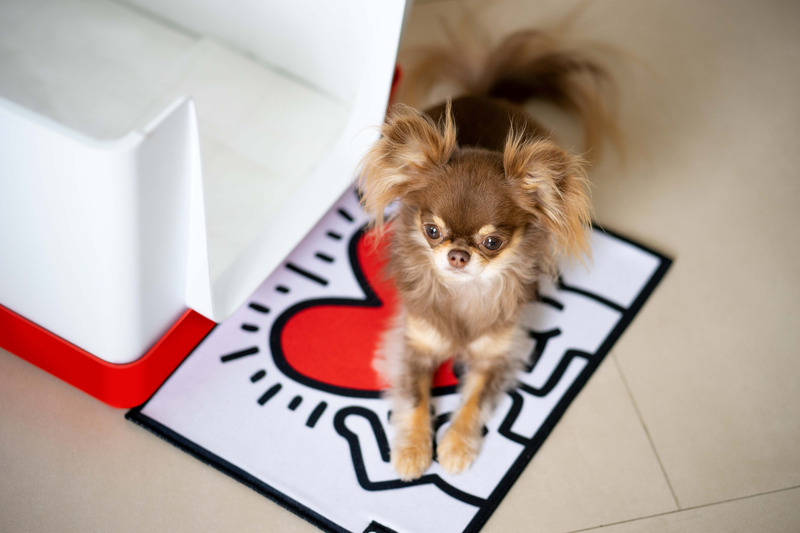 Press kit | 3904-03 - Press release | Doggy Bathroom Introduces Keith Haring Collection - Doggy Bathroom - Product - Doggy Bathroom Mini x Keith Haring Red - Photo credit: Momo Yang