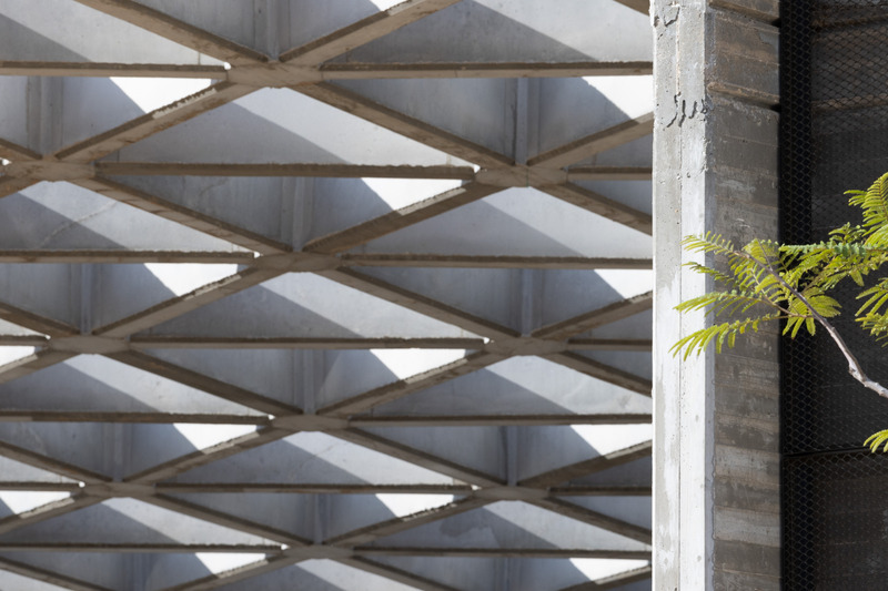 Dossier de presse | 5296-08 - Communiqué de presse | Midbarium, The Jack, Joseph & Morton Mandell Animal Park - A. Lerman Architects Ltd. - Architecture institutionnelle - Crédit photo : Nimrod Levy