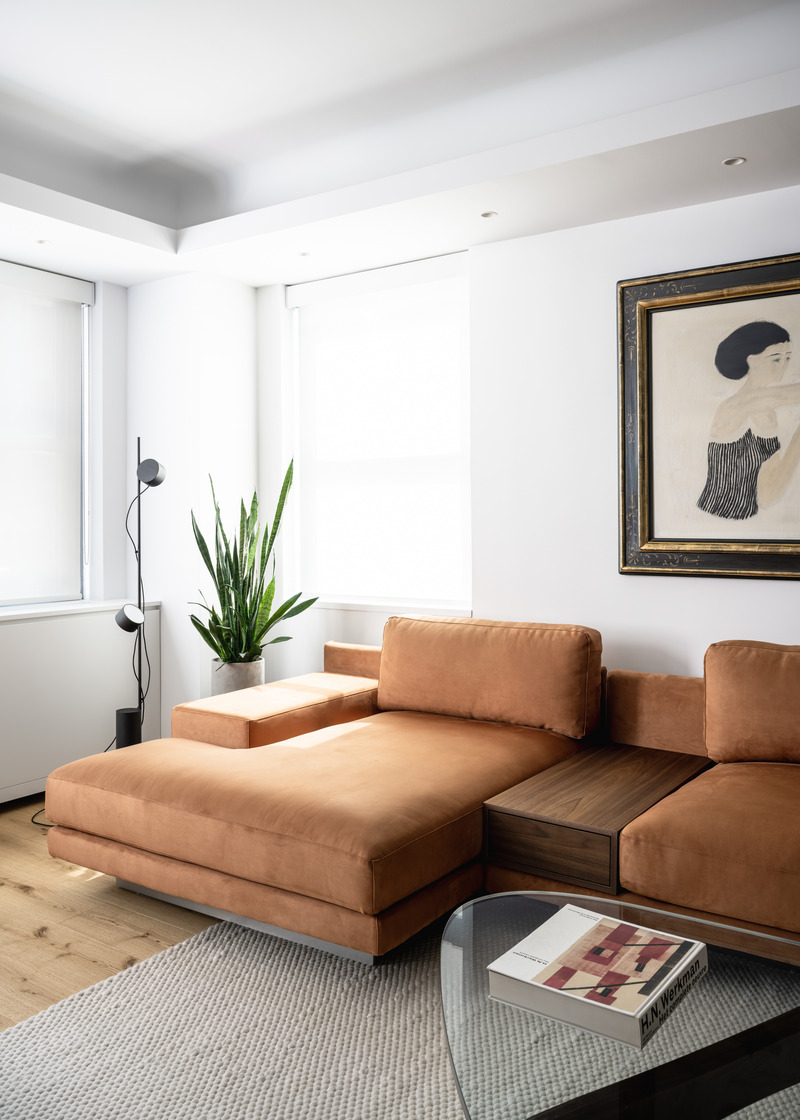 Dossier de presse | 6991-02 - Communiqué de presse | Palmer Apartment - Fernando Fisbein Architect - Design d’intérieur résidentiel - Living area - Crédit photo : Alan Tansey