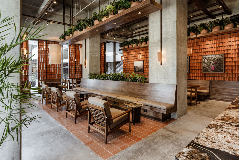 Dossier de presse | 6391-02 - Communiqué de presse | Kali Mexican Coffee Roasters - Concentrico - Design d’intérieur commercial - Crédit photo : Jose Miguel Gonzalez / Apertura Arquitectonica