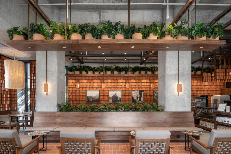 Dossier de presse | 6391-02 - Communiqué de presse | Kali Mexican Coffee Roasters - Concentrico - Design d’intérieur commercial - Crédit photo : Paco Alvarez / Recording Architecture