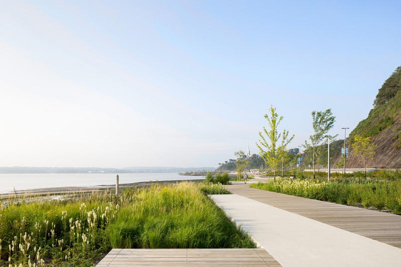 Press kit | 718-04 - Press release | Promenade Samuel-De Champlain, Phase 3 - Daoust Lestage Lizotte Stecker - Institutional Architecture -  Marshland Wharf; juxtaposition of docks enhancing the consolidated existing marsh ecosystem  - Photo credit: Adrien Williams
