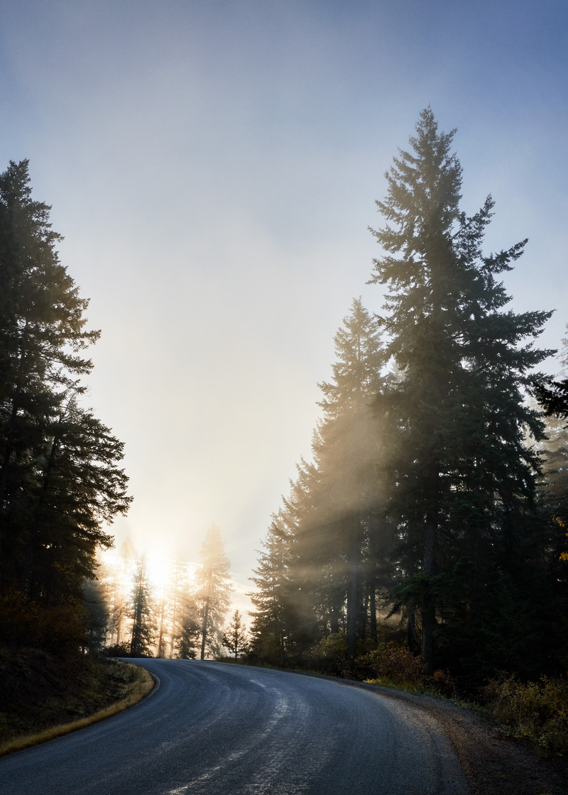 Press kit | 6087-04 - Press release | Rustic Luxury that Blurs the Lines Between Pristine Wilderness and Contemporary Comfort - Daniel Joseph Chenin - Residential Architecture - Photo credit:  David Mitchell 