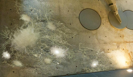 Press kit | 870-01 - Press release | 4th edition ofART SOUTERRAIN - Art Souterrain - Event + Exhibition - Artiste : Flower Marie Lunn  - Photo credit: Flower Marie Lunn