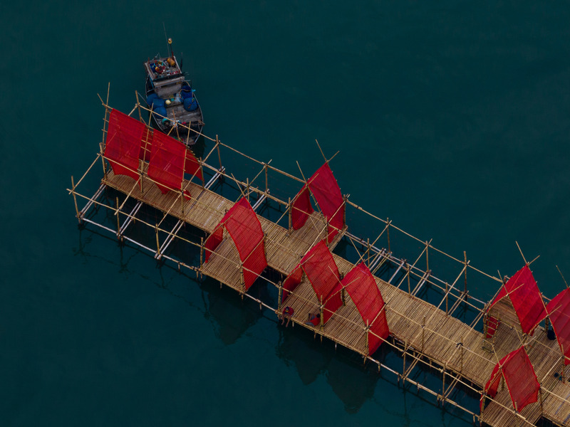 Press kit | 5742-01 - Press release | Angsila Oyster Scaffolding Pavilion - Chat Architects - Institutional Architecture - Photo credit: W Workspace