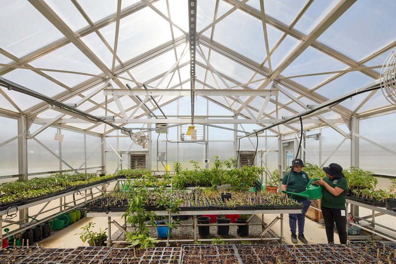 Press kit | 2757-41 - Press release | CAW Architects' Newest Educational Design for Oakland Unified School District Transforms Both Food Education and Distribution - CAW Architects - Commercial Architecture - The Center's on-site greenhouse produces starter plants from seed to support school community gardens throughout the District's elementary and middle school campuses.<span></span><span></span> - Photo credit: Bruce Damonte Photography
