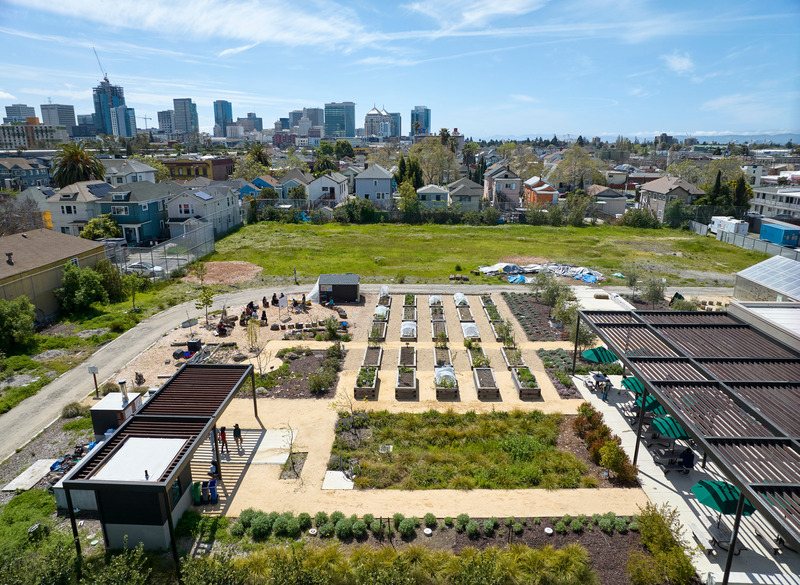 Press kit | 2757-41 - Press release | CAW Architects' Newest Educational Design for Oakland Unified School District Transforms Both Food Education and Distribution - CAW Architects - Commercial Architecture -  <p class="">Once a middle school site in West Oakland, the property was first shuttered and converted into a center for support staff and specialized programs, before then being converted into this unique program serving food, wellness and nutrition to the Oakland community.</p>  - Photo credit:  Bruce Damonte Photography 