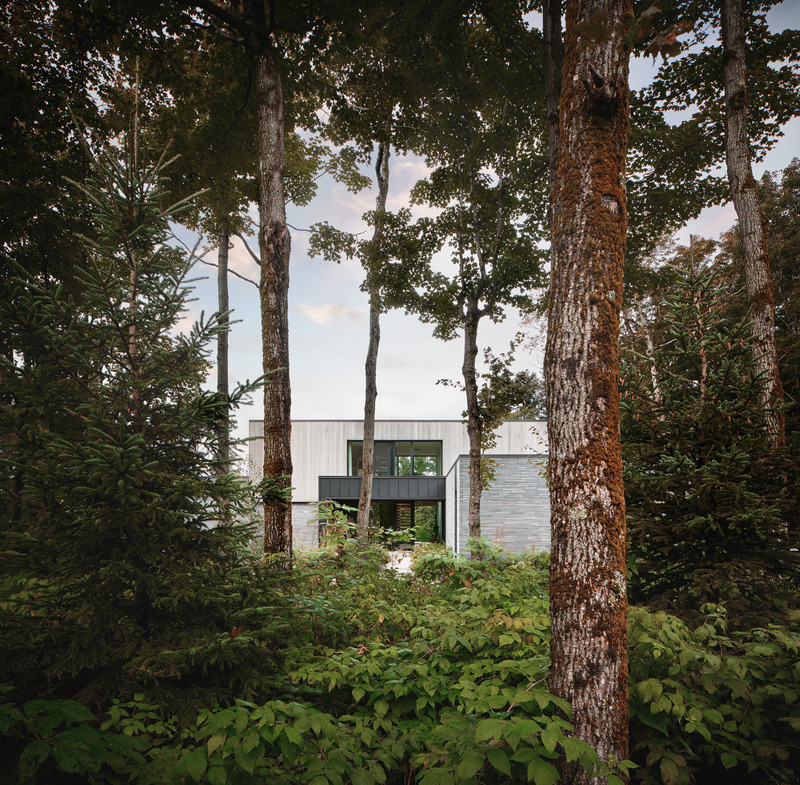 Dossier de presse | 2260-05 - Communiqué de presse | Maison Shefford : un modèle d'architecture et d'aménagement intérieur intégrés avec la nature - MXMA Architecture & Design en collaboration avec Catlin Stothers Design - Architecture résidentielle - Crédit photo : Nanne Springer