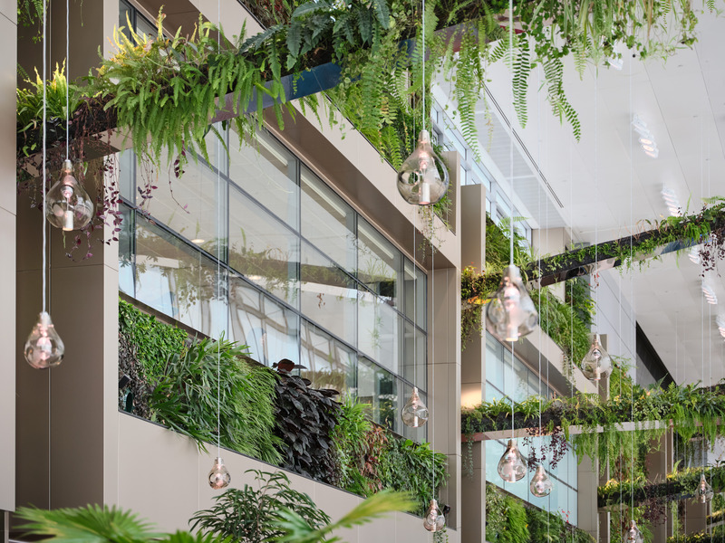 Press kit | 7412-01 - Press release | BOIFFILS Architectures Brings the 'Garden City' Inside New Biophilic Singapore Airport Terminal - BOIFFILS Architectures - Commercial Architecture - Photo credit: Changi Airport Group - Fabian Ong