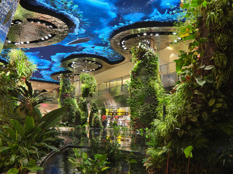 Press kit | 7412-01 - Press release | BOIFFILS Architectures Brings the 'Garden City' Inside New Biophilic Singapore Airport Terminal - BOIFFILS Architectures - Commercial Architecture - Photo credit: Changi Airport Group - Fabian Ong