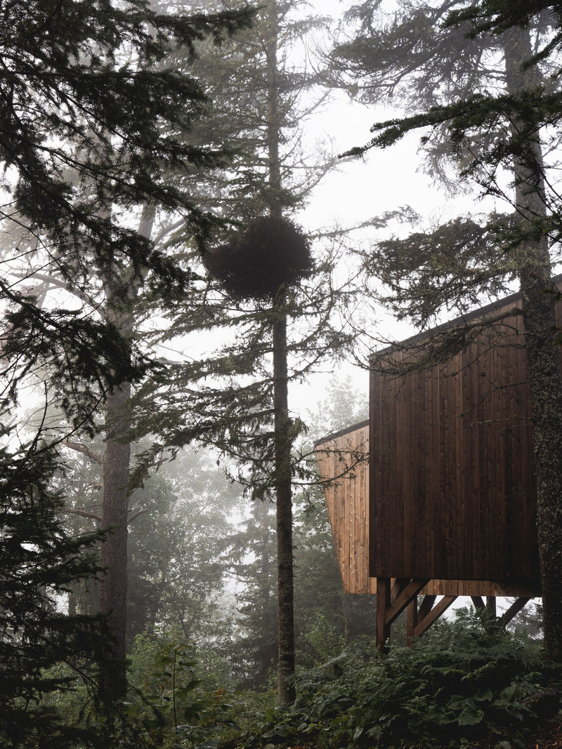 Press kit | 1685-08 - Press release | Territoire Charlevoix - Atelier L'Abri - Commercial Architecture -   Shelter in the forest   - Photo credit: Raphaël Thibodeau