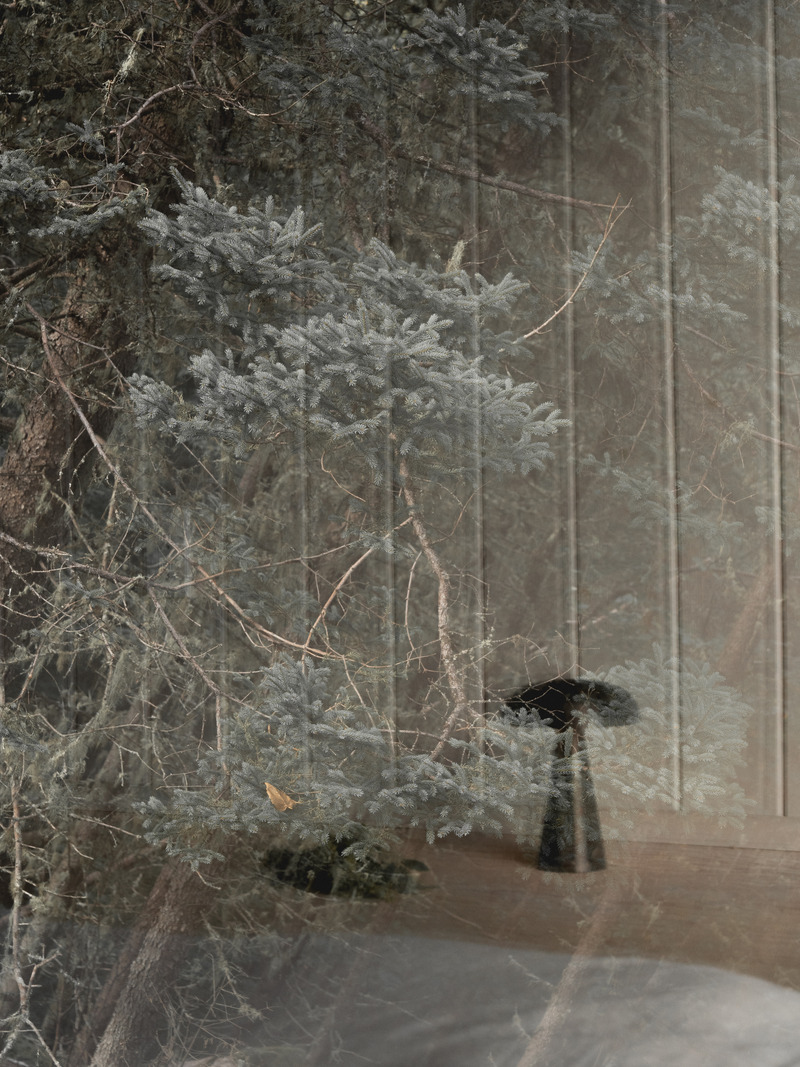 Press kit | 1685-08 - Press release | Territoire Charlevoix - Atelier L'Abri - Commercial Architecture -  Reflection of the forest  - Photo credit: Raphaël Thibodeau