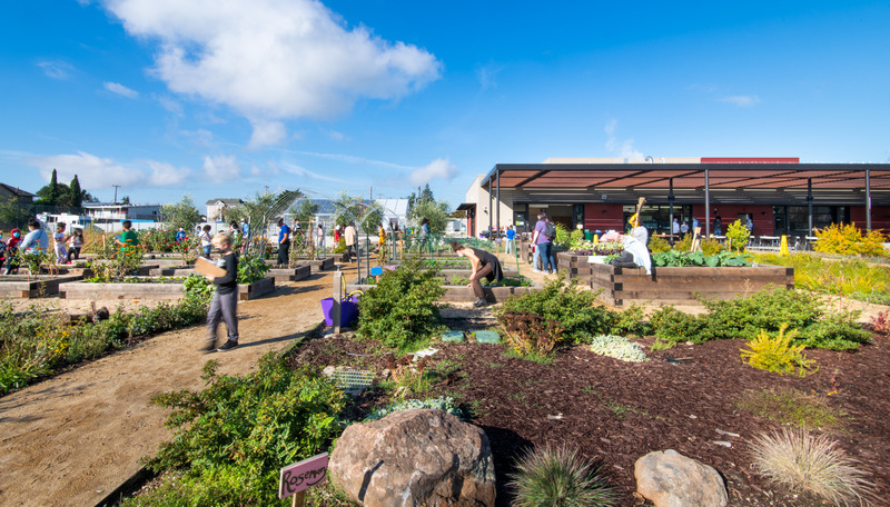Press kit | 2757-41 - Press release | CAW Architects' Newest Educational Design for Oakland Unified School District Transforms Both Food Education and Distribution - CAW Architects - Commercial Architecture - The central courtyard space, which houses the many teaching gardens, is regularly utilized as a space for learning and discovery. - Photo credit: <p>Katie Gutierrez, CAW Architects</p>