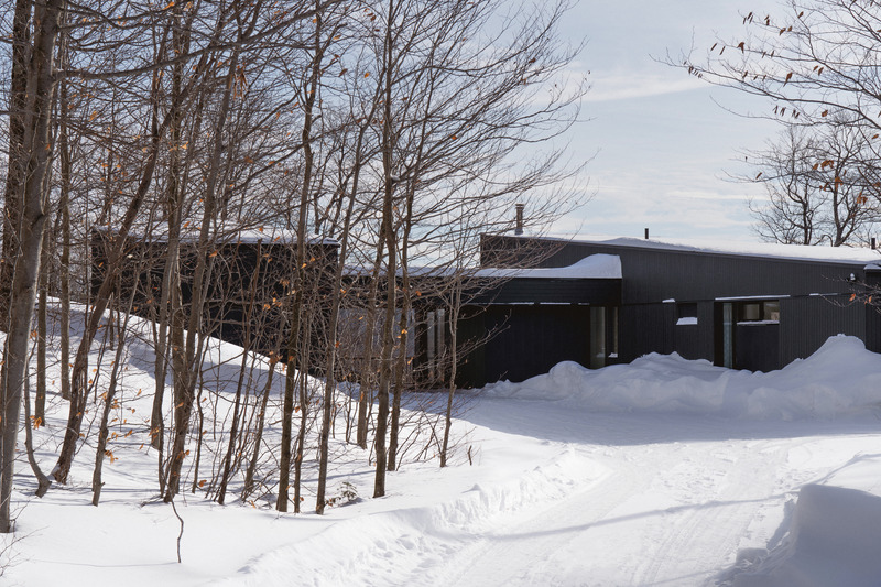 Press kit | 1678-09 - Press release | Alizé Residence - Atelier BOOM-TOWN - Residential Architecture - Photo credit: Raphaël Thibodeau