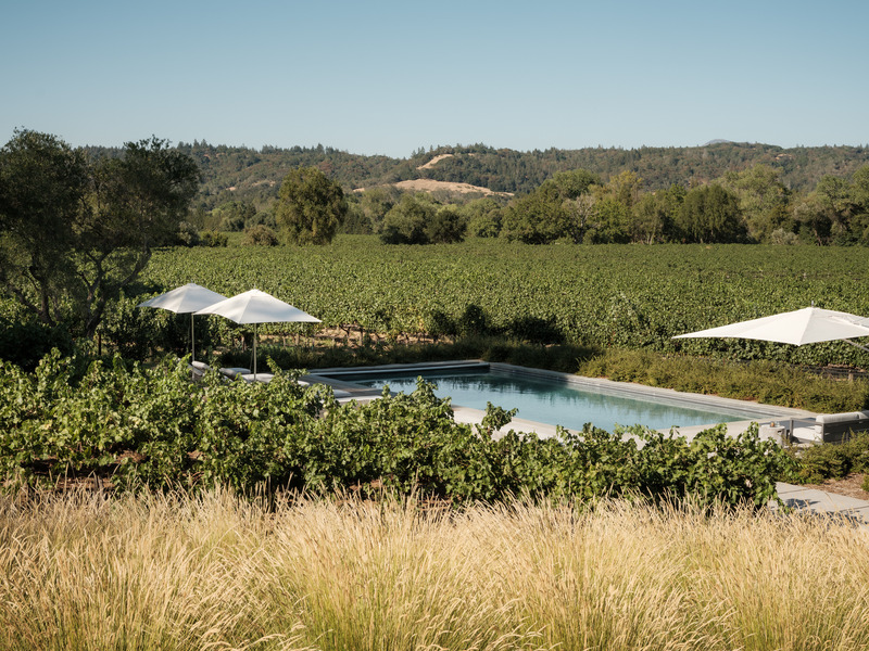 Dossier de presse | 2757-40 - Communiqué de presse | MDa Redefines Wine Country Living With This Idyllic Barn Retreat - Malcolm Davis Architecture (MDa) - Architecture résidentielle -   The colors of the landscape design complement the serene pool waters and surrounding wine groves. - Crédit photo : Joe Fletcher