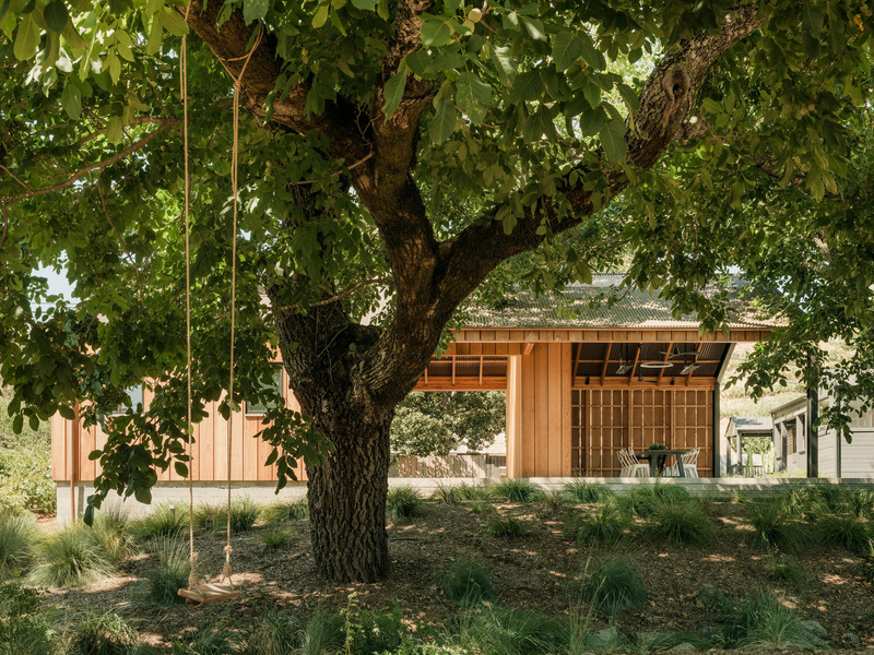 Dossier de presse | 2757-40 - Communiqué de presse | MDa Redefines Wine Country Living With This Idyllic Barn Retreat - Malcolm Davis Architecture (MDa) - Architecture résidentielle -   The adjoining tree swing adds a touch of playfulness in line with the outdoor bliss that the project represents.  - Crédit photo : Joe Fletcher