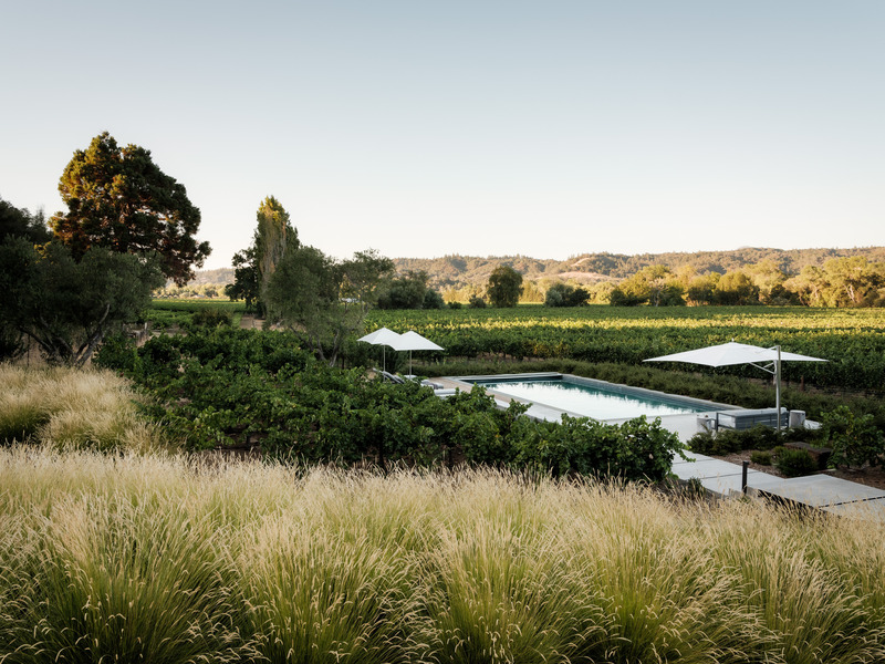 Dossier de presse | 2757-40 - Communiqué de presse | MDa Redefines Wine Country Living With This Idyllic Barn Retreat - Malcolm Davis Architecture (MDa) - Architecture résidentielle - The team harmoniously united the pool layout and landscape design with the architecture and surrounding wine groves. - Crédit photo : Joe Fletcher