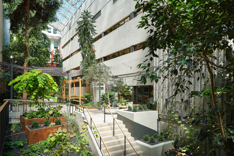 Press kit | 1299-13 - Press release | Collège de Maisonneuve - Interior Garden - Taktik Design - Landscape Architecture - Photo credit:  Maxime Brouillet 