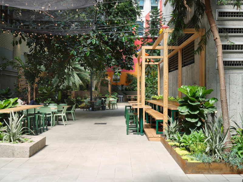 Press kit | 1299-13 - Press release | Collège de Maisonneuve - Interior Garden - Taktik Design - Landscape Architecture - Photo credit: Maxime Brouillet