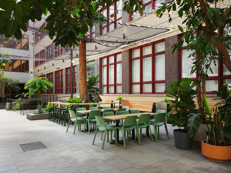Press kit | 1299-13 - Press release | Collège de Maisonneuve - Interior Garden - Taktik Design - Landscape Architecture - Photo credit: Maxime Brouillet
