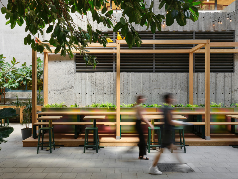 Press kit | 1299-13 - Press release | Collège de Maisonneuve - Interior Garden - Taktik Design - Landscape Architecture - Photo credit: Maxime Brouillet