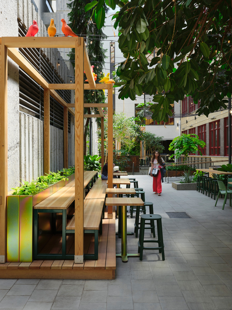 Press kit | 1299-13 - Press release | Collège de Maisonneuve - Interior Garden - Taktik Design - Landscape Architecture - Photo credit: Maxime Brouillet