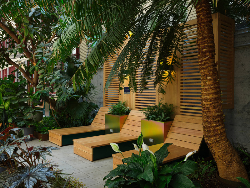 Press kit | 1299-13 - Press release | Collège de Maisonneuve - Interior Garden - Taktik Design - Landscape Architecture - Photo credit: Maxime Brouillet