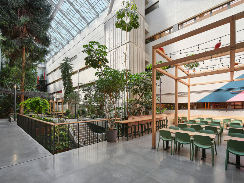 Press kit | 1299-13 - Press release | Collège de Maisonneuve - Interior Garden - Taktik Design - Landscape Architecture - Photo credit: Maxime Brouillet