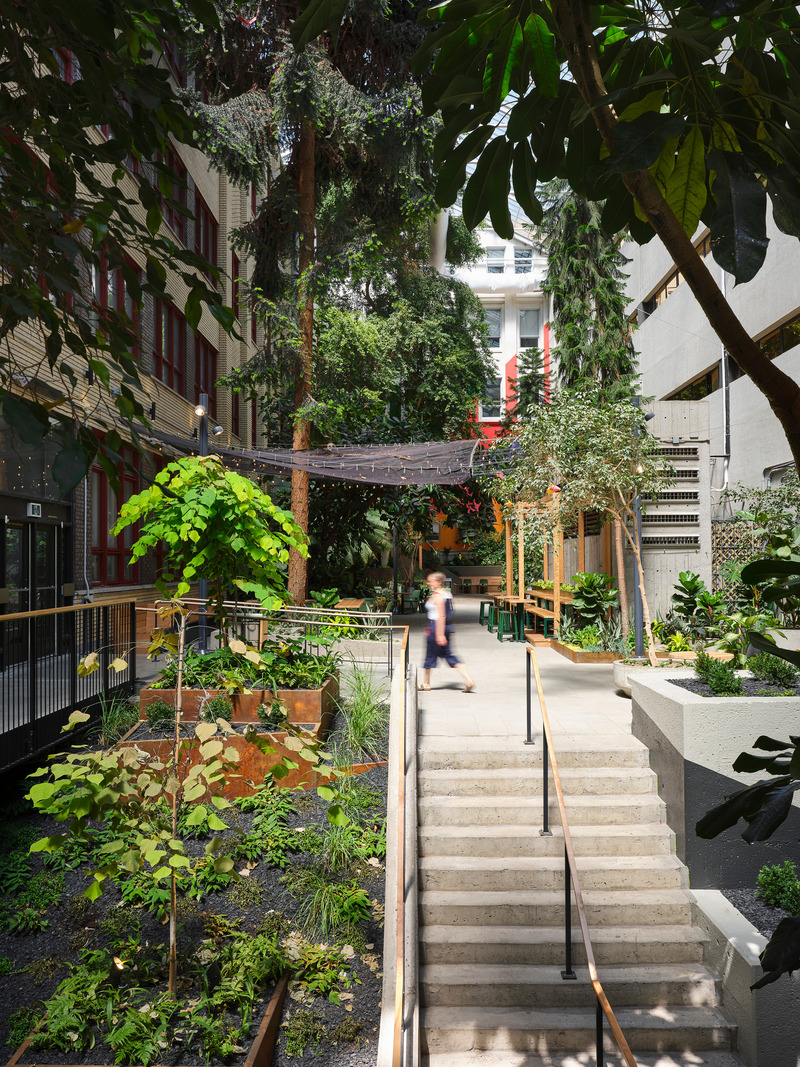 Press kit | 1299-13 - Press release | Collège de Maisonneuve - Interior Garden - Taktik Design - Landscape Architecture - Photo credit: Maxime Brouillet