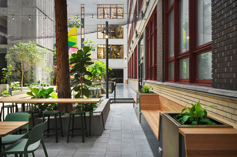 Press kit | 1299-13 - Press release | Collège de Maisonneuve - Interior Garden - Taktik Design - Landscape Architecture - Photo credit: Maxime Brouillet