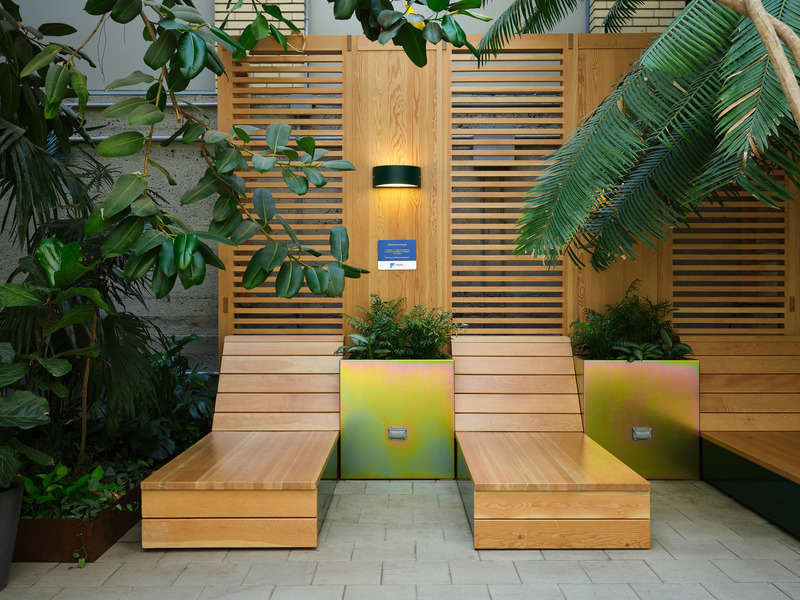 Press kit | 1299-13 - Press release | Collège de Maisonneuve - Interior Garden - Taktik Design - Landscape Architecture - Photo credit: Maxime Brouillet