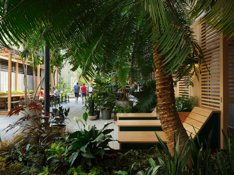 Press kit | 1299-13 - Press release | Collège de Maisonneuve - Interior Garden - Taktik Design - Landscape Architecture - Photo credit: Maxime Brouillet