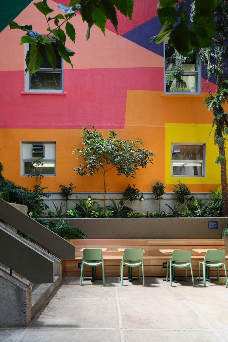 Press kit | 1299-13 - Press release | Collège de Maisonneuve - Interior Garden - Taktik Design - Landscape Architecture - Photo credit: Maxime Brouillet