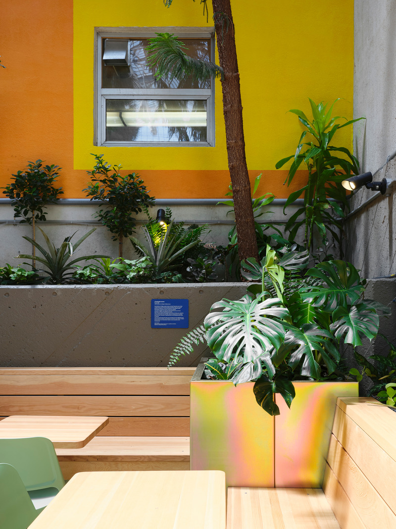 Press kit | 1299-13 - Press release | Collège de Maisonneuve - Interior Garden - Taktik Design - Landscape Architecture - Photo credit: Maxime Brouillet